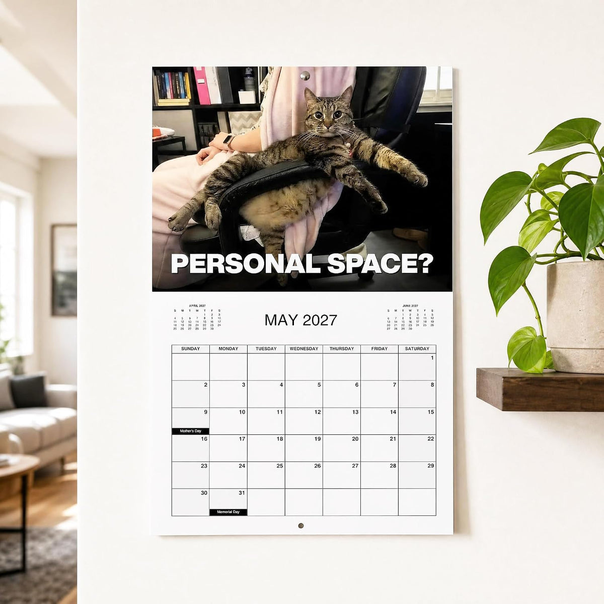 TYIIMAX™ Kalender „Wütende Katzen 2027“