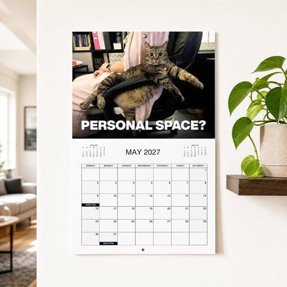 TYIIMAX™ Kalender „Wütende Katzen 2027“